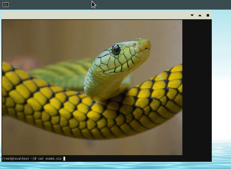 Serpent avec foot | Source : https://tarnyko.net/articles/04-wayland_wlroots/foot-sixel.jpg foot-sixel