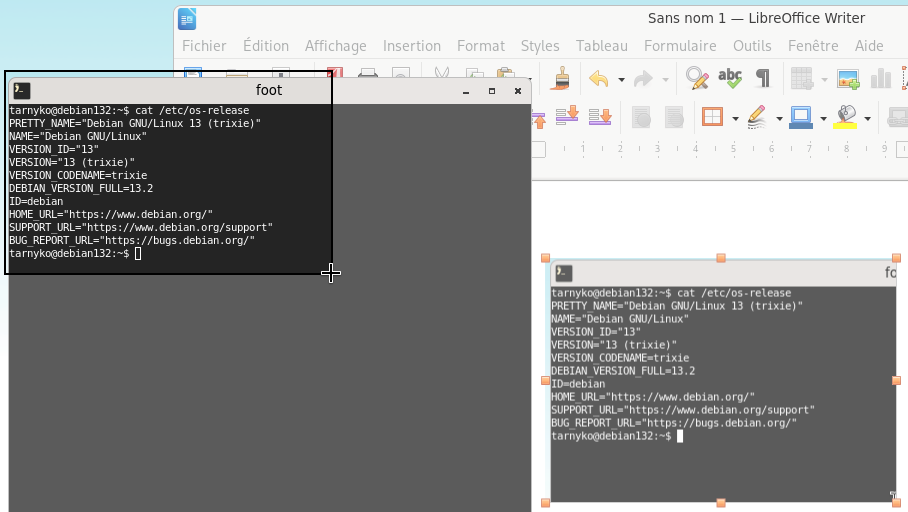 Sélection de capture d'écran | Source : https://tarnyko.net/articles/04-wayland_wlroots/grim-slurp.png grim-slurp