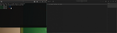 Les nouveaux outils de GNOME : console et éditeur de texte