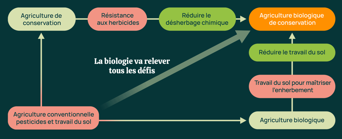 chemin agroécologie