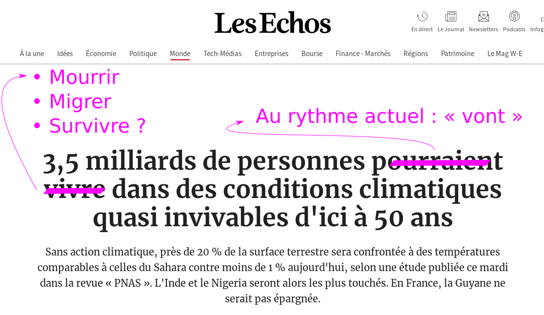 Article des echos