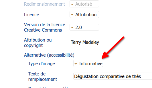 Capture écran des métadonnées d’une image dans Scenari où on peut préciser si une image est décorative ou informative.