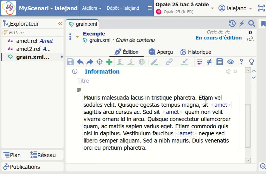 Source : https://forums.scenari.org/uploads/default/original/2X/c/c85f05bec746743b16a496a85196eae6fc4d4d87.gif Substitution d'items dans Scenari
