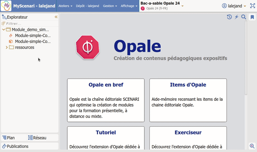 options d’accessibilite sur les génrateurs Web et Diapo Opale|690x407, 100%
