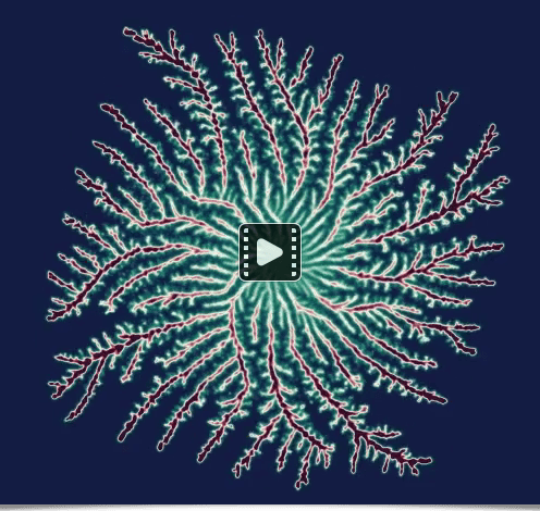 Diffusion-Limited-Aggregation (animation)