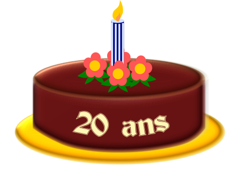 Gâteau 20 ans