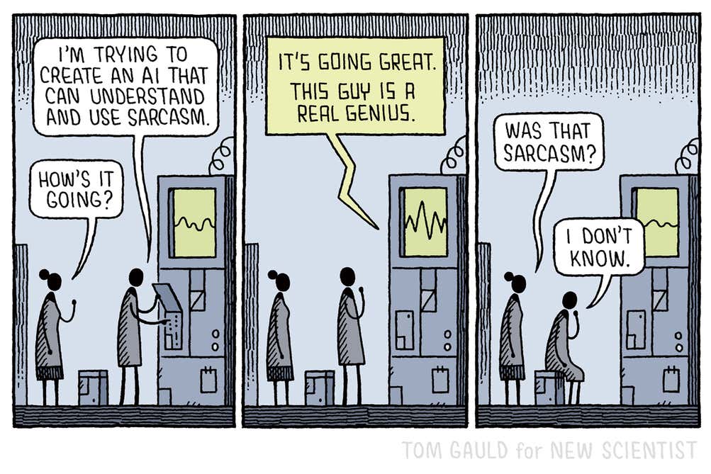 sarcasm