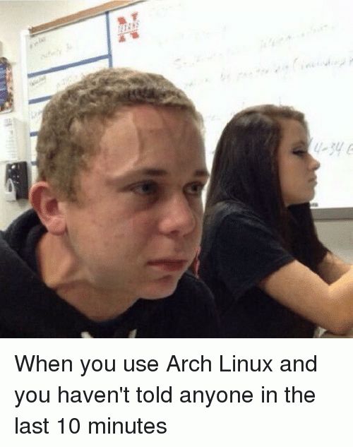 I use Archlinux BTW