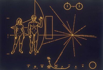 Source : https://pic.infini.fr/CmtUXgj1/2IBmVX2k.jpg message voyager I