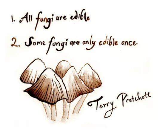 Citation de Terry Pratchett: tous les champignons peuvent être mangés. Certains peuvent être mangés une seule fois.