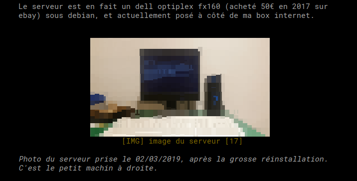 Screenshot de offpunk qui affiche une image et un peu de texte dans le terminal