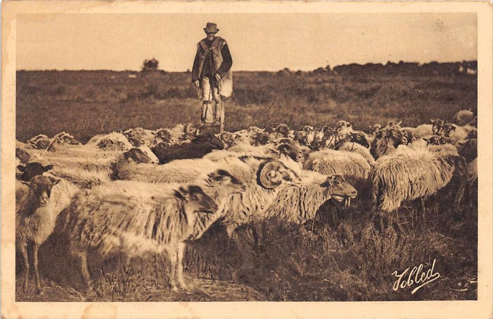 Titre de l’image