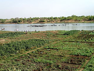 Agriculture maraîchère à Kayes, Mali