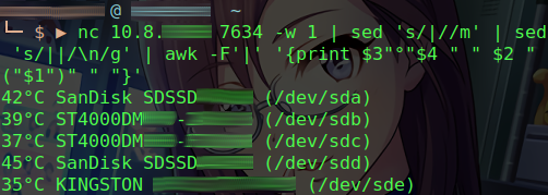 screenshot netcat hddtemp