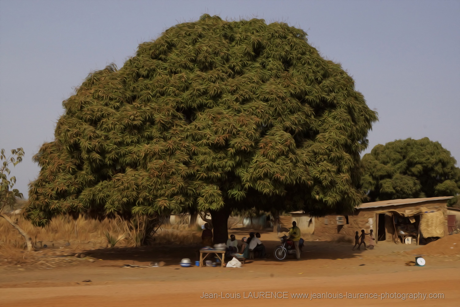 arbre à palabre