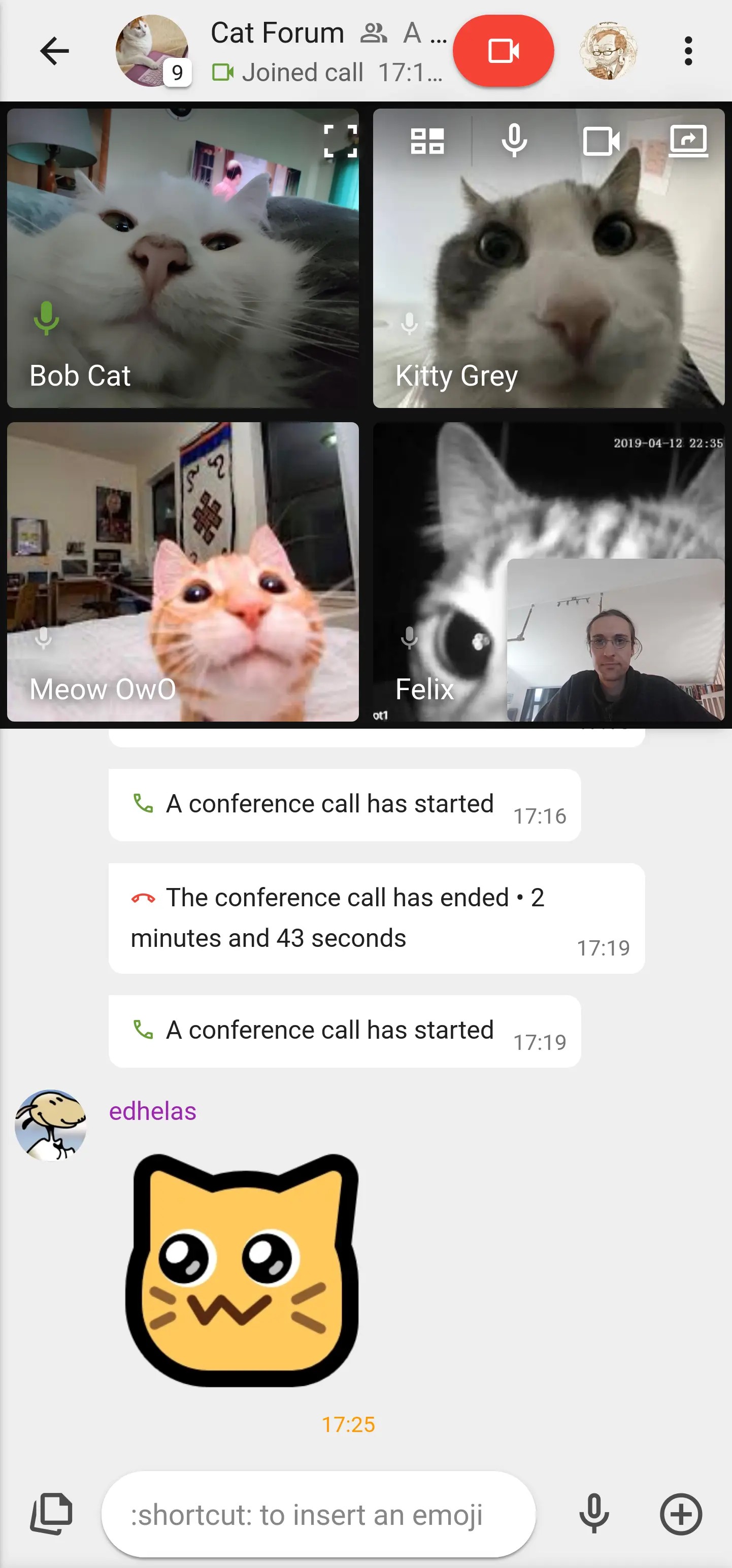 Movim 0.30 (Encke) : Meow OwO ébloui par l'aspect des appels multi-participants sur son appareil mobile !