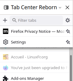 Capture d’écran de l’extension Firefox Tab Center Reborn en mode compact et onglets épinglés en mode vertical